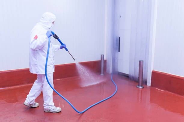 Best Graffiti Removal  in Daytona Beach, FL